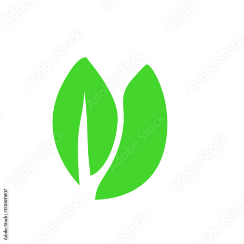 green leaf