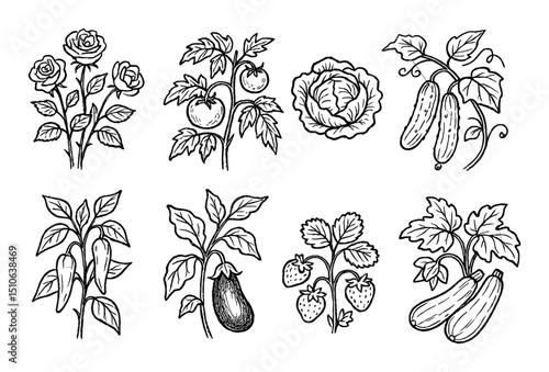 Garden Plant Icons