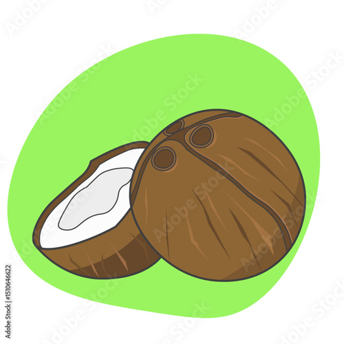 vector illustration of coconut
