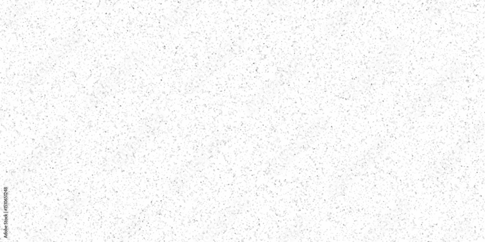 White Sand Wall Texture Background.white terrazzo flooring texture background. realistic raster pattern of mosaic floor with natural stones, granite, marble, quartz, concrete. polished rock.
White Sand Wall Texture Background.white terrazzo flooring texture background. realistic raster pattern of mosaic floor with natural stones, granite, marble, quartz, concrete. polished rock.