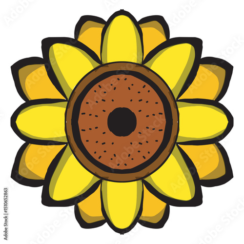 sunflowers are very beautiful and attract beetles