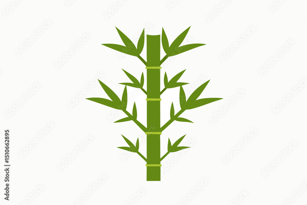 Naklejka premium bamboo isolated on white background