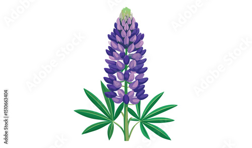 Single purple lupin flower with green leaves illustration