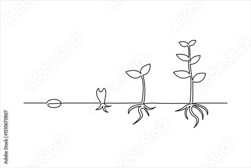 Plant growth process minimalist continuous one line art