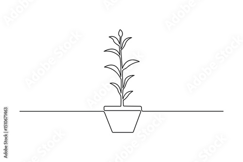 Plant growth process minimalist continuous one line art