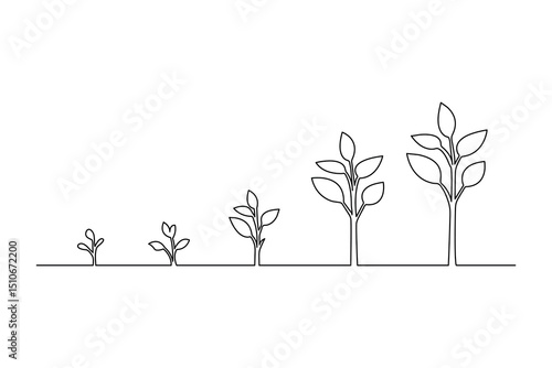 Plant growth process minimalist continuous one line art