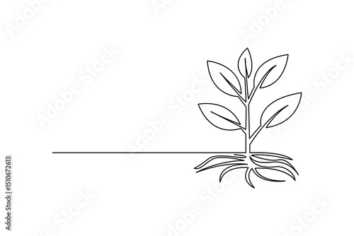 Plant growth process minimalist continuous one line art