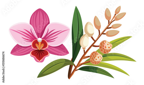 Pink orchid flower and tropical branch illustration