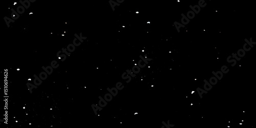 Snow flakes winter snowfall white light vector background. Christmas background, white snow on black background for edit photo.