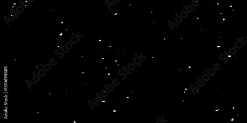 Snow flakes winter snowfall white light vector background. Christmas background, white snow on black background for edit photo.