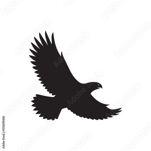Eagle vector illustration, Silhouettes of the sea eagles, black and white eagle silhouettes.
