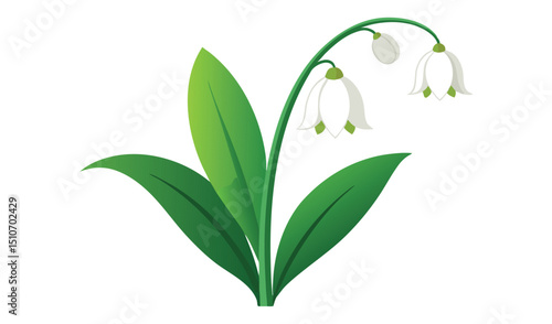 Elegant illustration of snowdrop flowers with green leaves