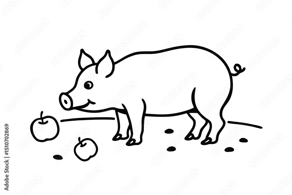 Cute line art pig with apples farm animal illustration Cute line art pig with apples farm animal illustration
