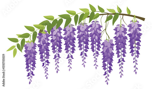 Purple wisteria flower branch with green leaves illustration