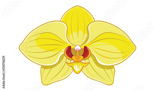 Single yellow phalaenopsis orchid flower illustration