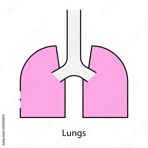 Lungs single icon vector illustration