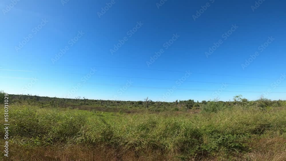 bañado la estrella formosa argentina bañado la estrella formosa argentina