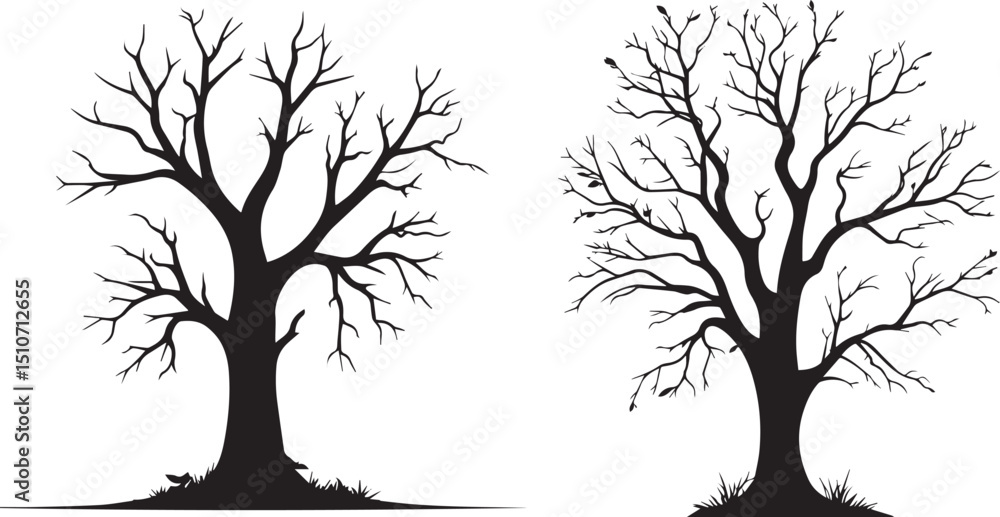 Obraz premium Silhouette of a dead tree without leaves Halloween tree shape on white background 