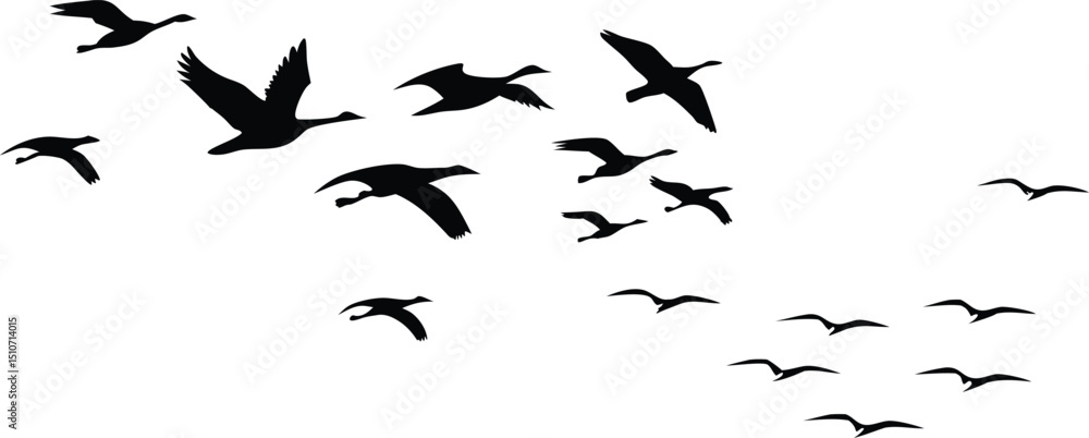 silhouette flock of birds flying in the sky silhouette flock of birds flying in the sky
