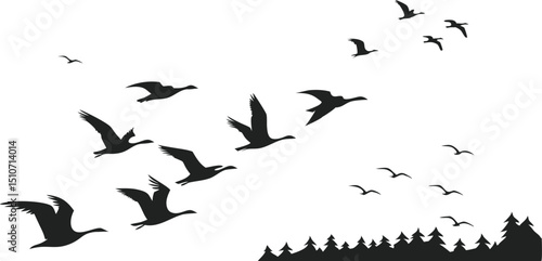 flock of birds flying silhouette