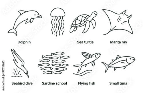 Marine wildlife icon set in linear style. sea animals and ocean creatures symbols