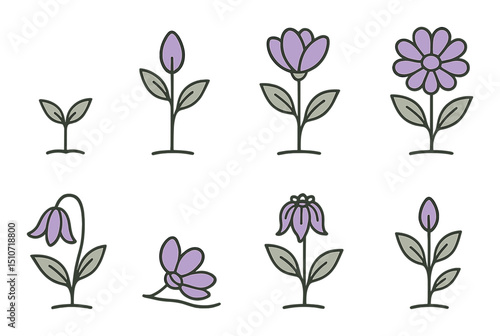 Purple flower lifecycle icon set in linear style. growth and botany symbols