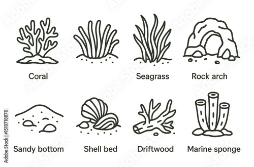 Underwater habitat icon set in linear style. marine flora and fauna symbols