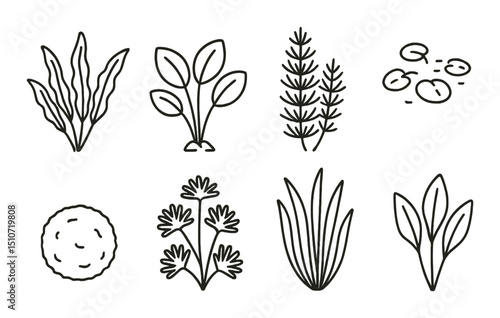 Aquarium plant icon set in linear style. aquatic flora symbols and graphic designs