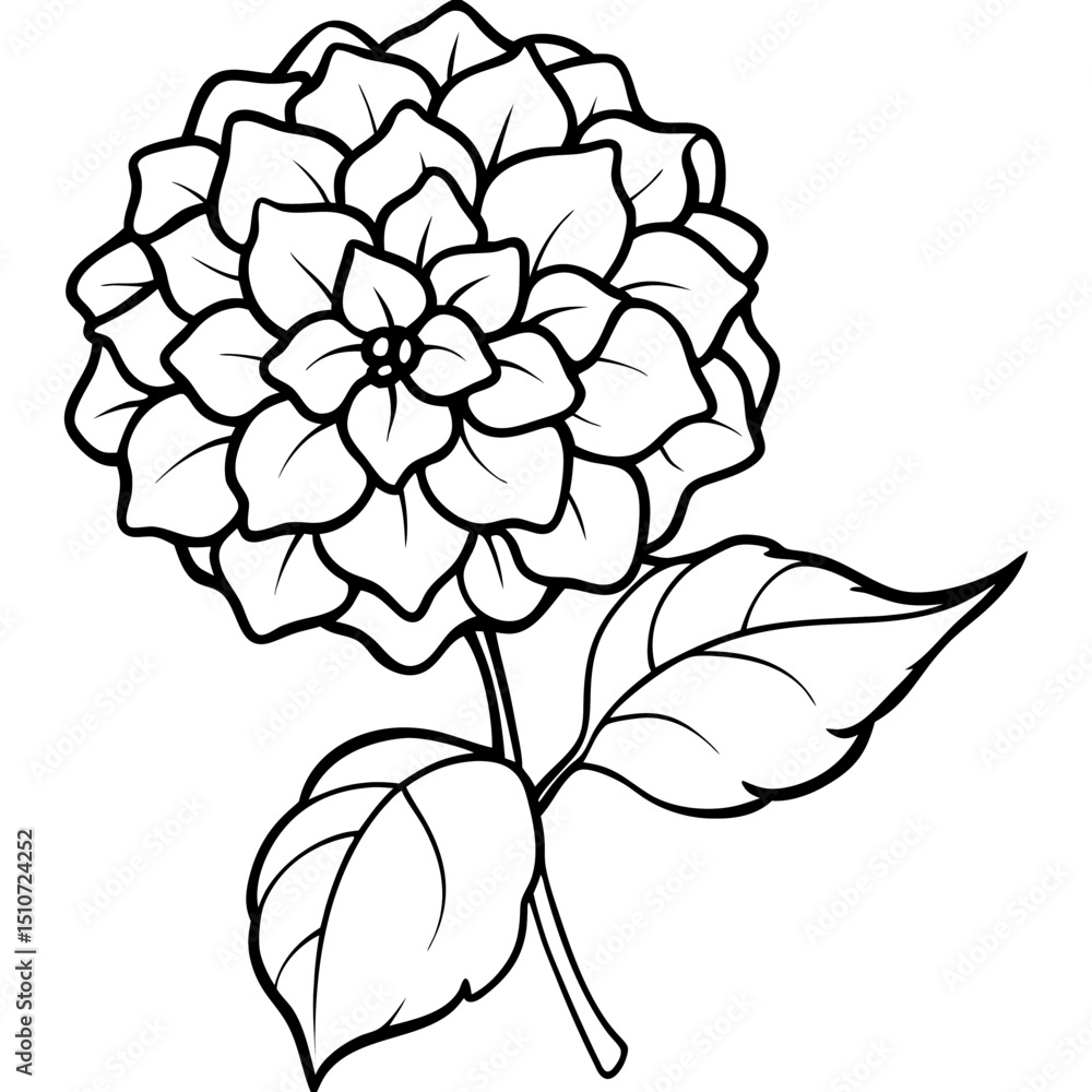 Fototapeta premium black and white flower