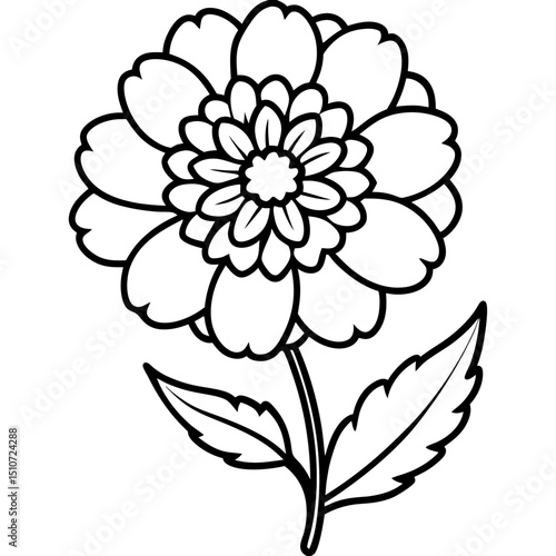 hand drawn flower