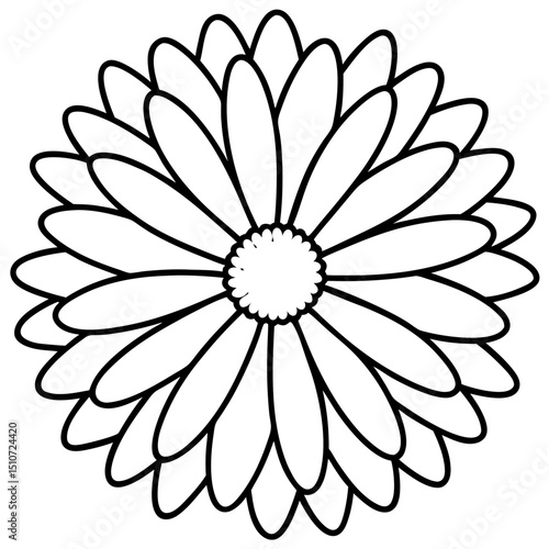 white flower on black background