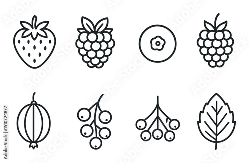 Berry icons set in linear style. fruit and plant symbol collection for design