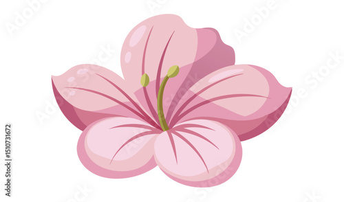 Single pink flower blossom illustration