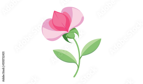 Single pink sweet pea flower with green leaves illustration