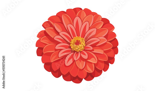 Vibrant red zinnia flower blossom illustration