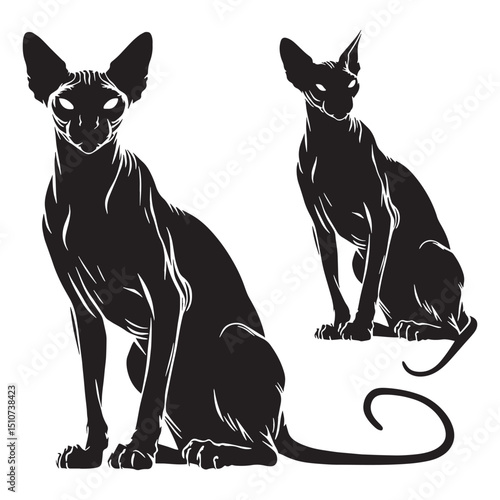 Abstract hairless cat silhouette for modern dark art – hairless cat silhouette – hairless cat vector illustration – silhouette of hairless cat

