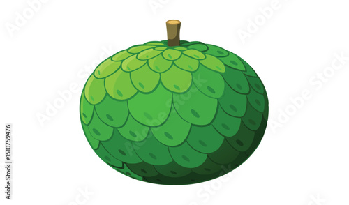 Whole annona fruit green tropical illustration