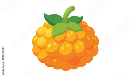 Single cloudberry fruit illustration
