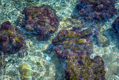 Aerial top down view of a reef in the mediterranean sea
