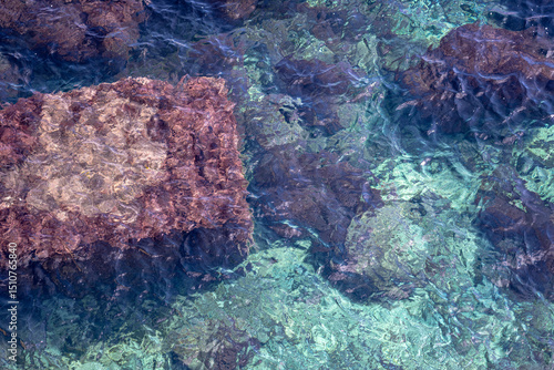 Aerial top down view of a reef in the mediterranean sea