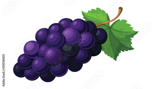 Fresh bunch of dark purple grapes with green leaf