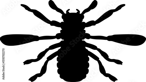 Silhouette of a thrips nymph, symmetrical front view, isolated, minimalist design
