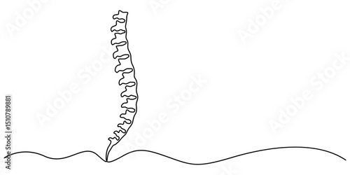 one line spine, Continuous one line drawing bones of human hand.  Wrist bones in single line art vector illustration. Editable stroke, Chiropractor spine. Continuous one line drawing on white back.