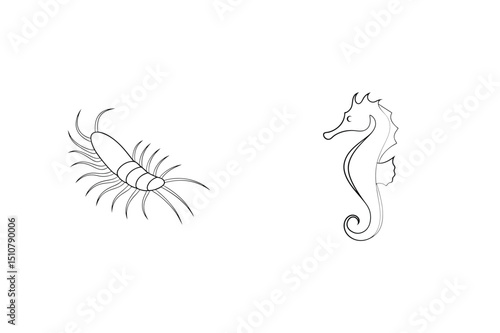 Simple black and white line art of a centipede and a seahorse design illustration