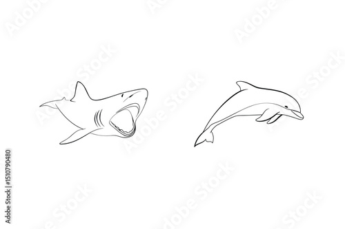 Outlined illustrations of shark and dolphin isolated on a white background for design purposes