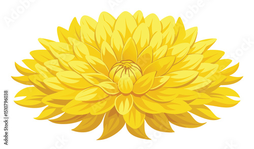 Large yellow dahlia flower blossom illustration