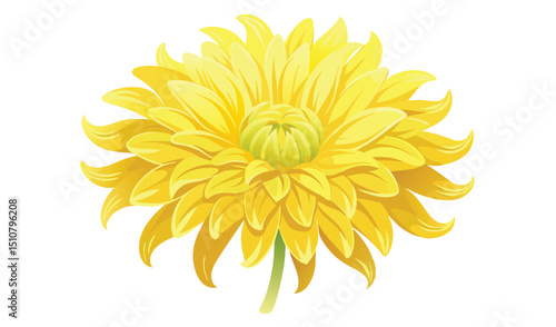 Vibrant yellow dahlia flower blossom illustration