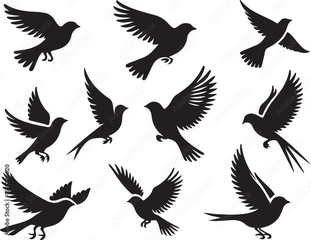 Fototapeta premium Flying bird silhouettes vector set showing various species in flight