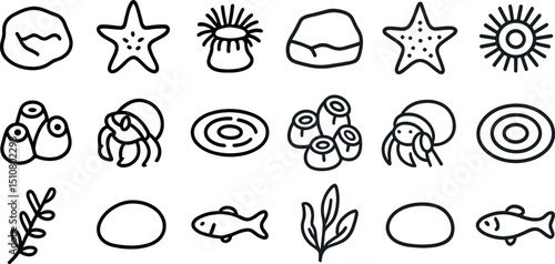 Ocean elements and sea life doodles for nautical design use