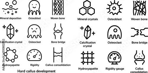 Visual guide to hard callus development in bone healing processes